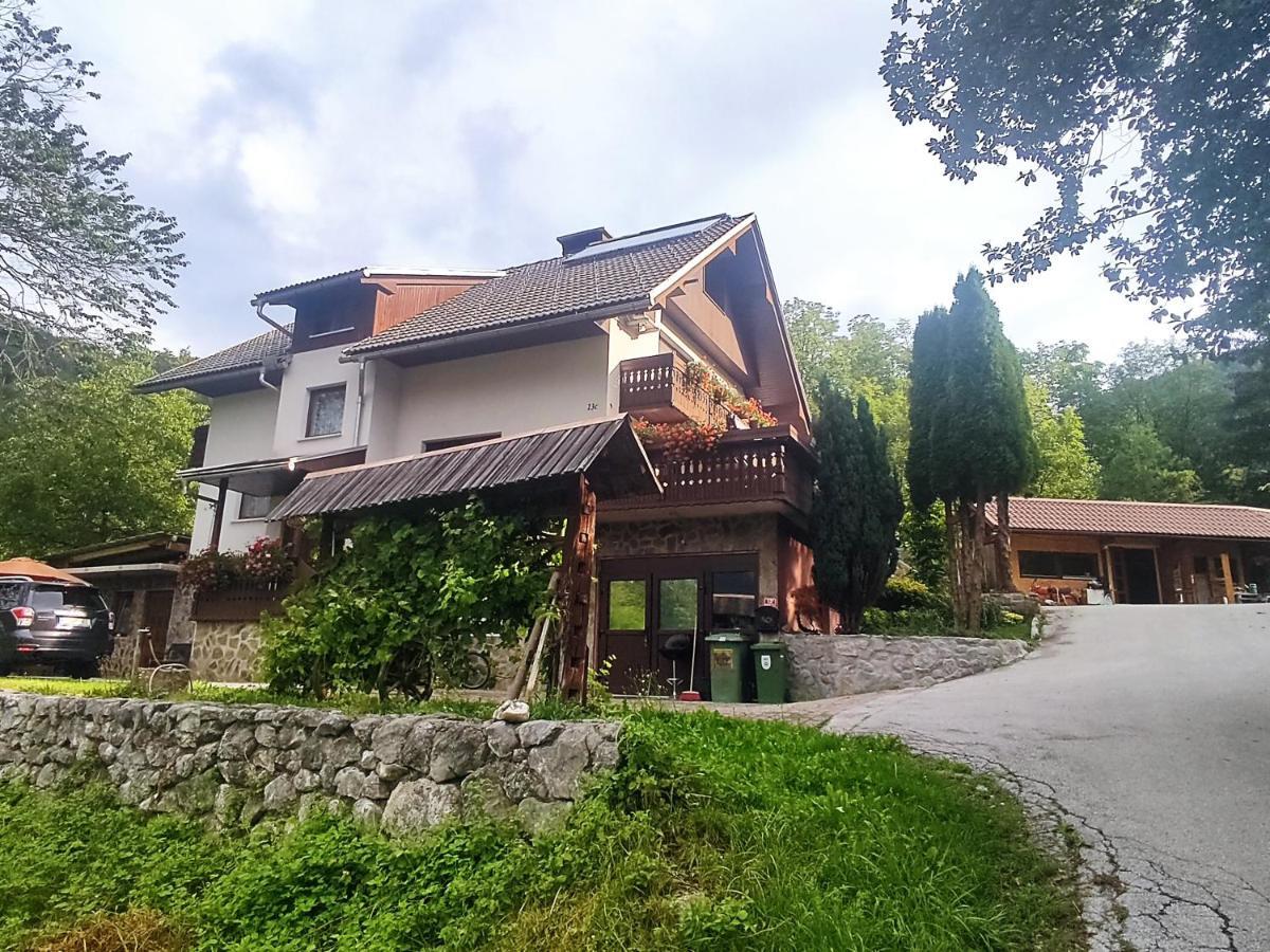 Fantastic Apartment Brglez Bohinjska Bela Luaran gambar