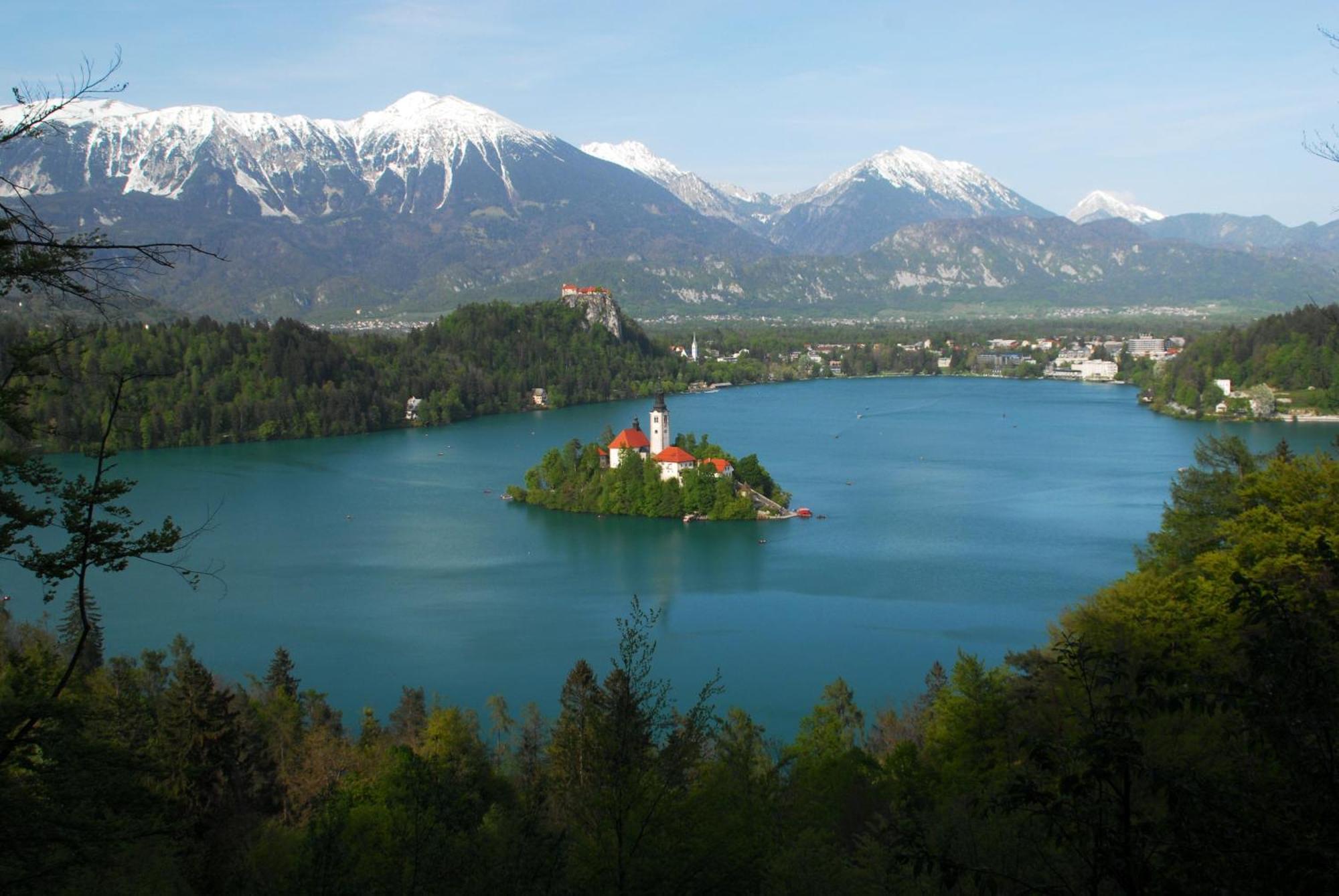 Fantastic Apartment Brglez Bohinjska Bela Luaran gambar