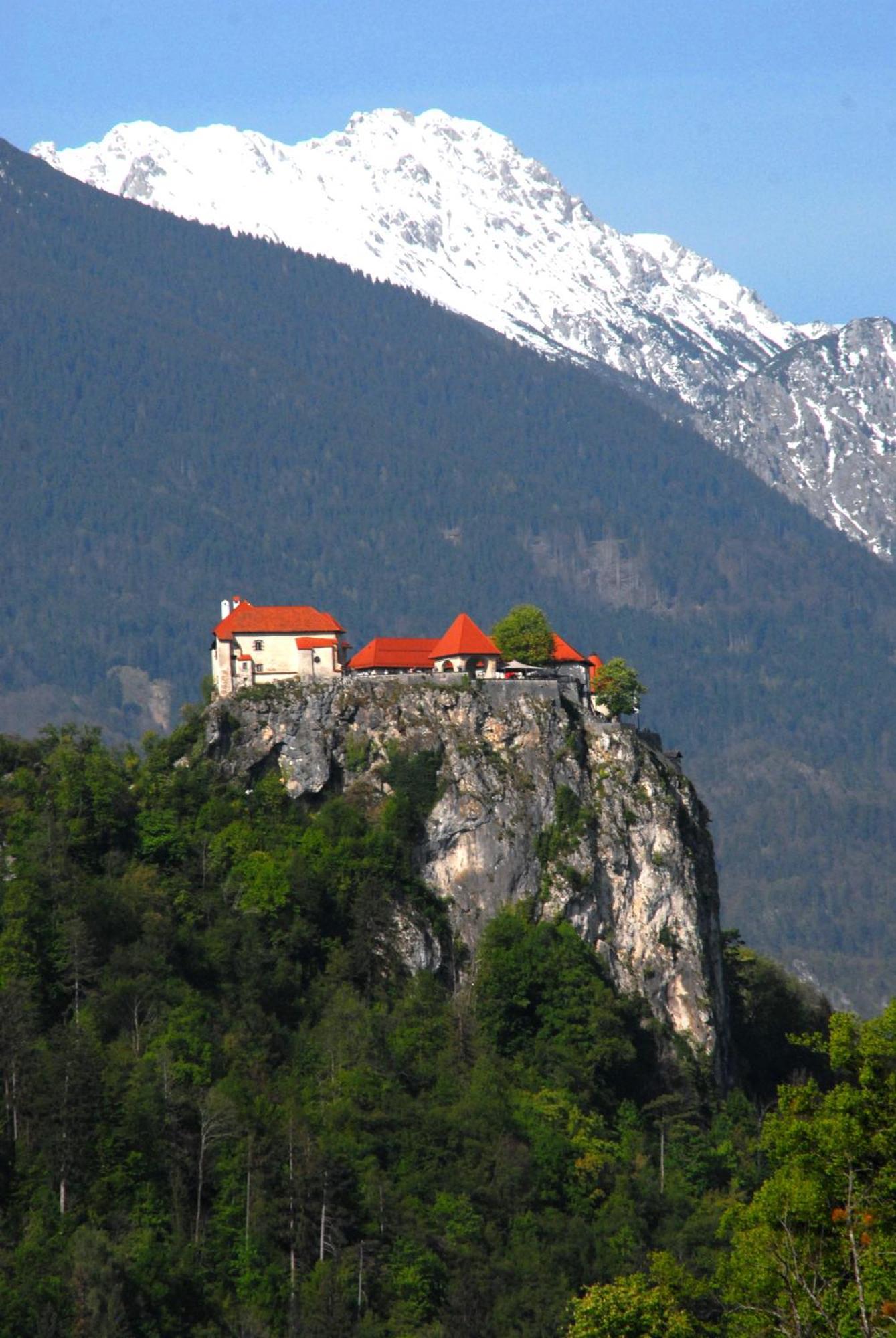 Fantastic Apartment Brglez Bohinjska Bela Luaran gambar